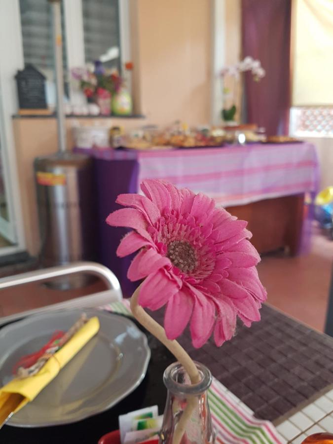 לינה וארוחת בוקר פייטרה ליגורה Ghiro Ghiotto מראה חיצוני תמונה